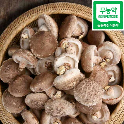 표고버섯 생물 1~3kg 상품/가정용